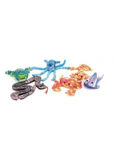 ANIMALs MARINS SORRA