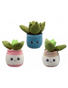 PLANTA PELUIX 3 MODELS 20CM