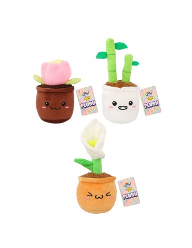 PLANTES DE PELUIX 16,5-18CM 3 MODELS